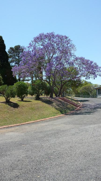 Jacaranda Motor Lodge Grafton Exterior foto
